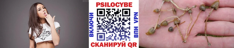 Галлюциногенные грибы мухоморы  Купить  Щучье 